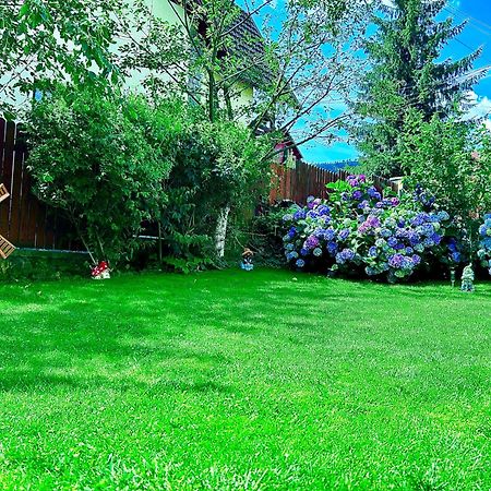 Отель Casa Ador Синая Экстерьер фото
