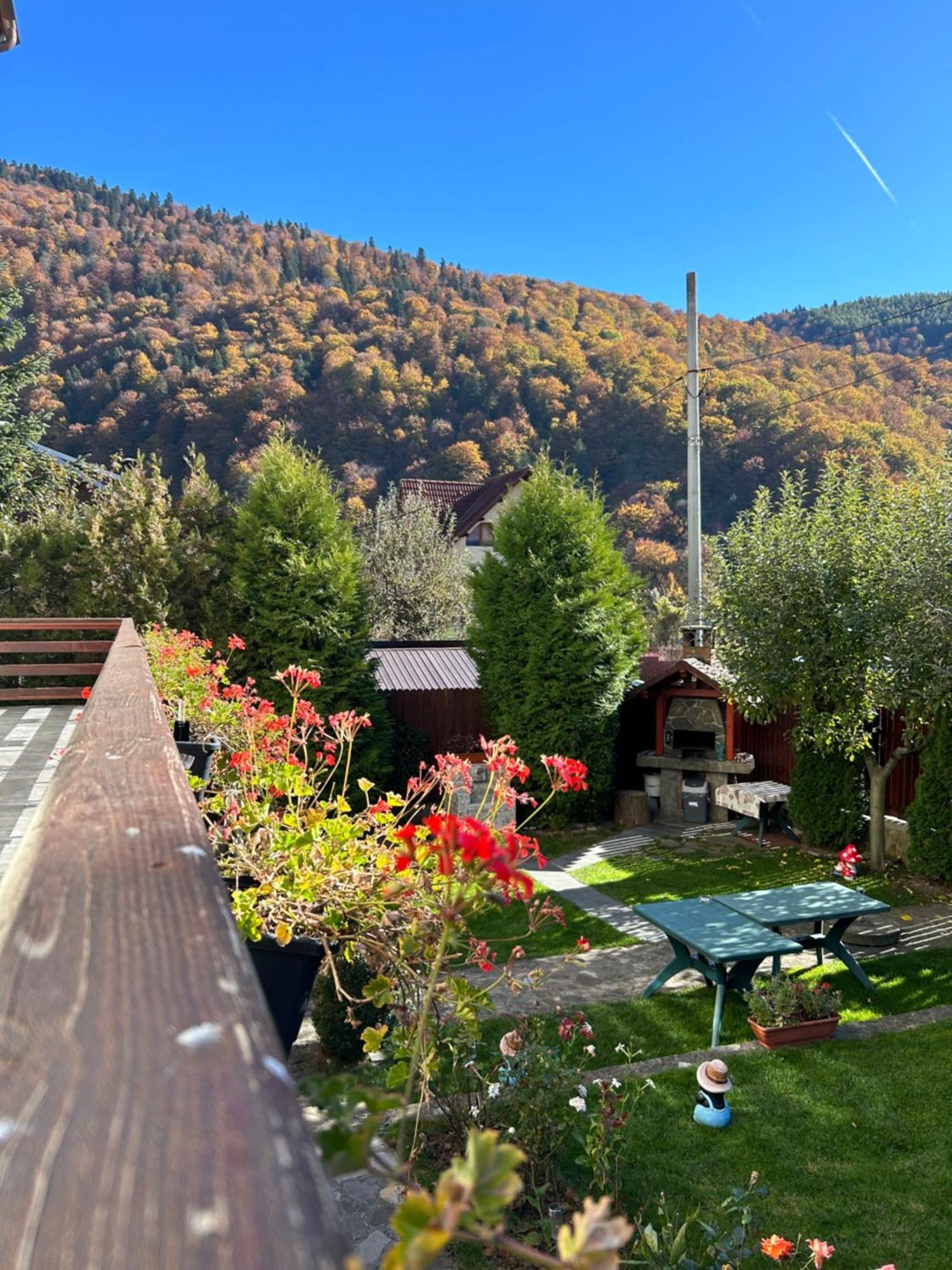 Отель Casa Ador Синая Экстерьер фото